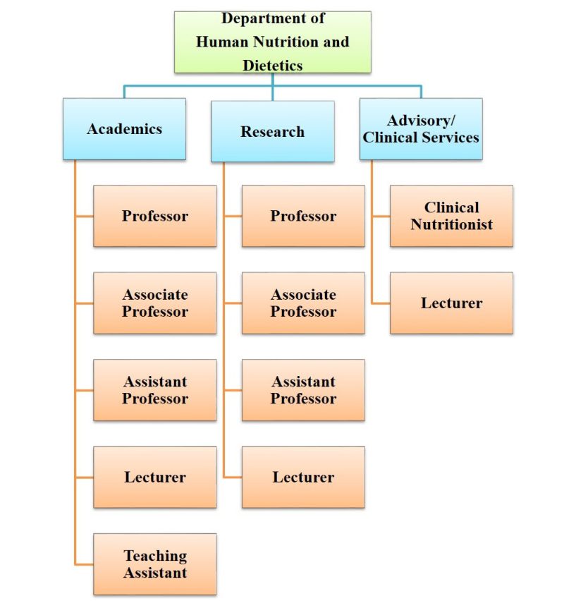 chart-1